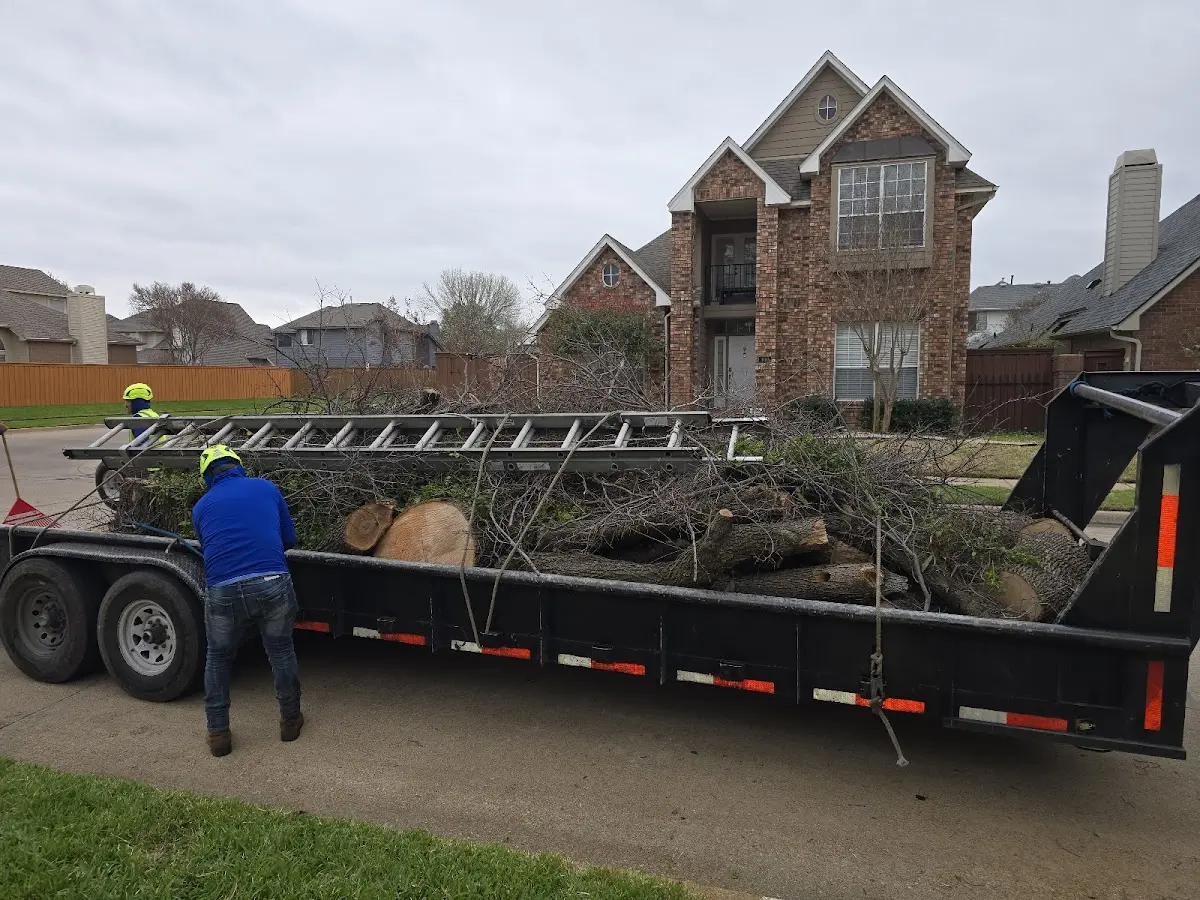 Expert Crown Reduction with proper safety equipment in Silver Springs